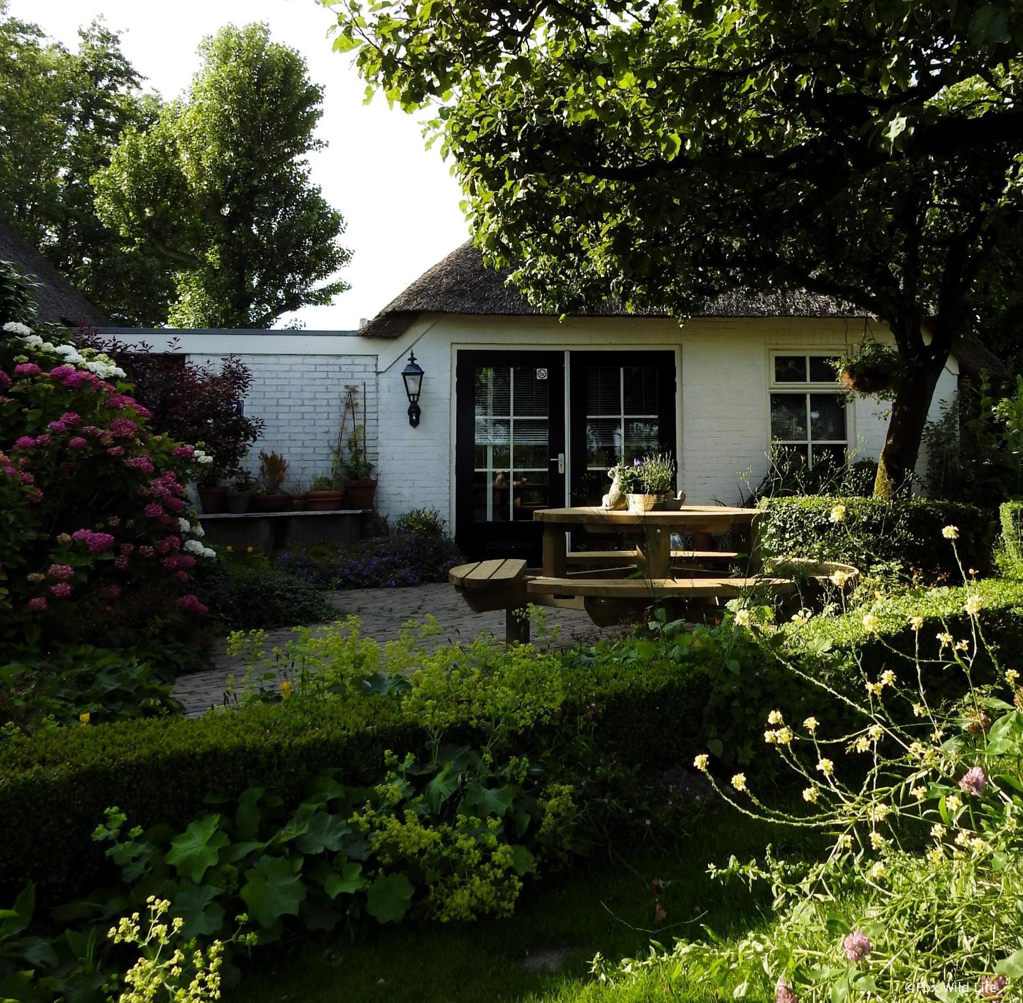Bed and Breakfast The Wee White Hoose Oosternijkerk Exterior foto